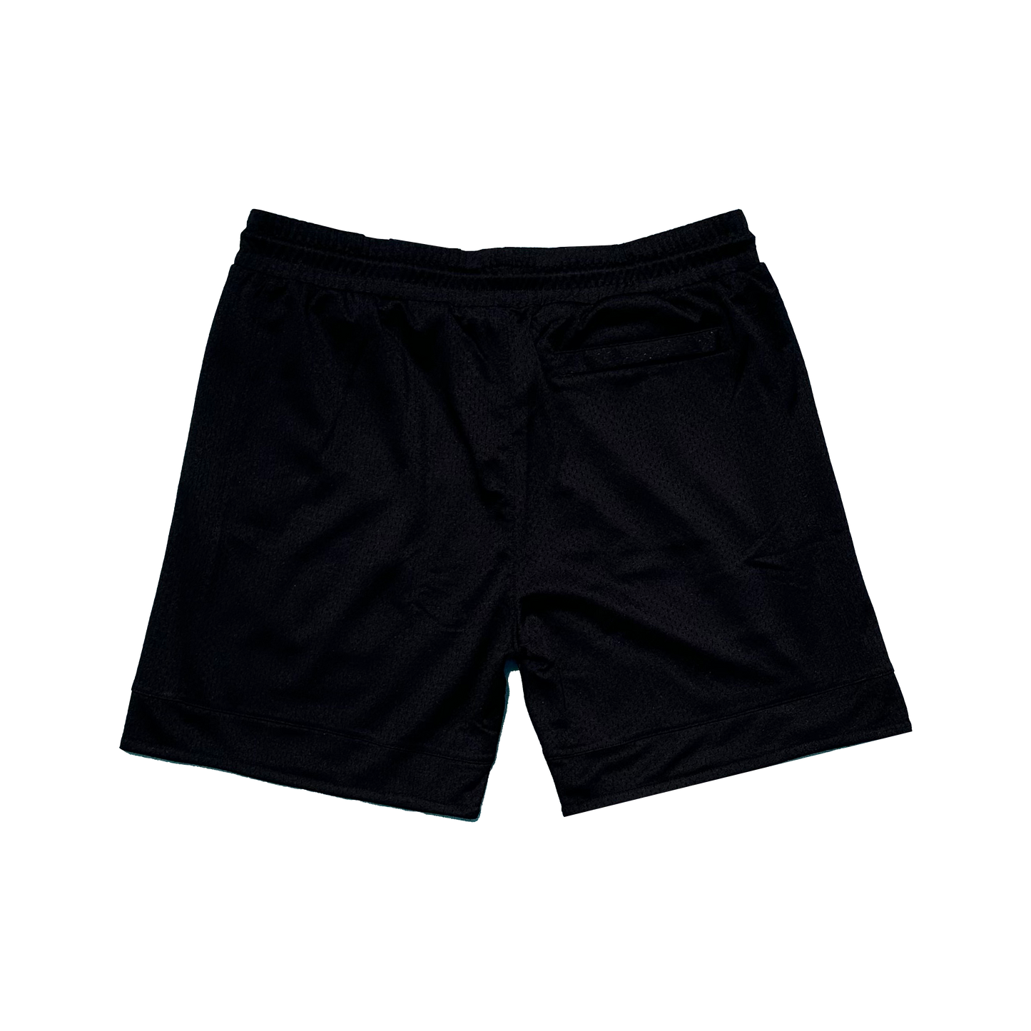 Paneled Mesh Shorts V3 - Noir